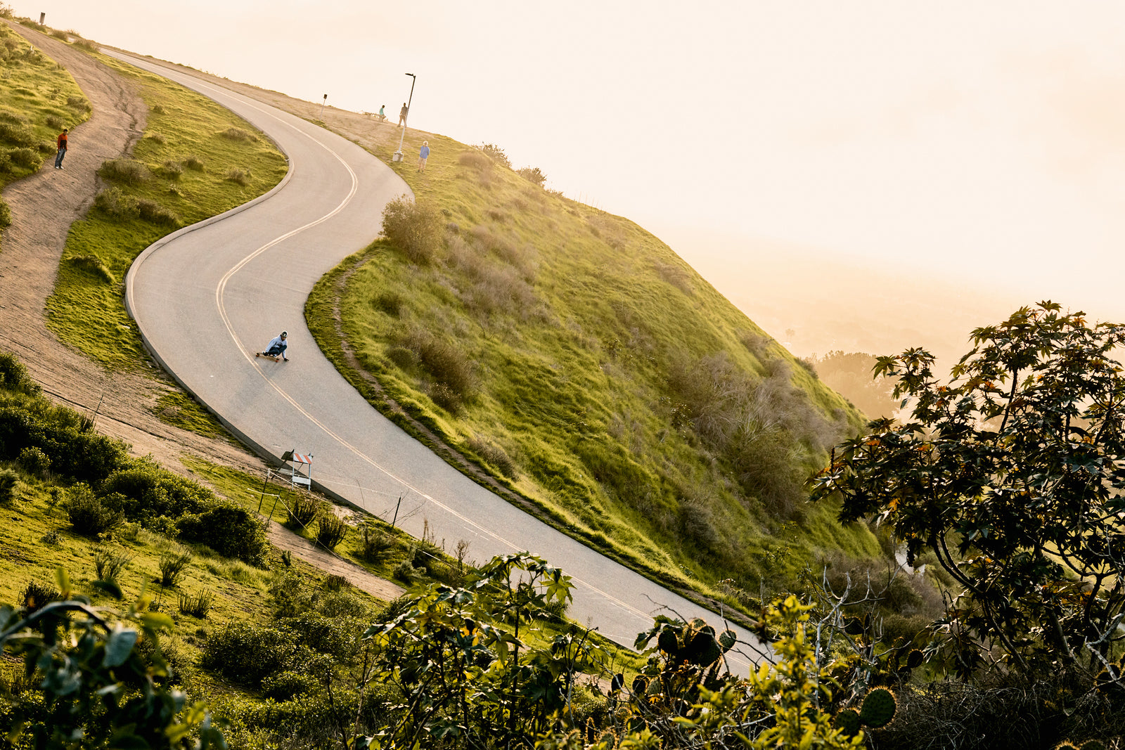 Longboard Trucks